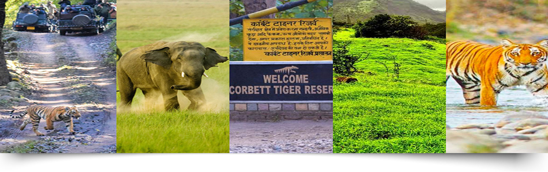 Jim Corbett Tour Package